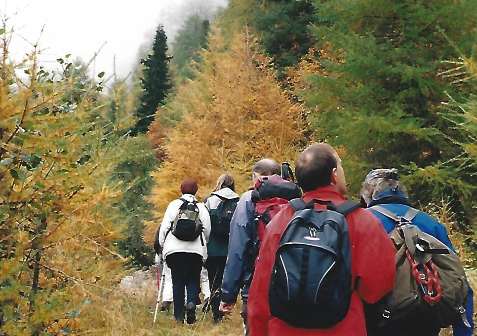 Foto: Blinde Gäste wandern mit ihren sehenden Begleitern durch herbstlichen Lärchenwald in Südtirol.Foto: S. Hahn